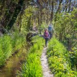 Latschanderwaal, Waal, Waalweg, wandern