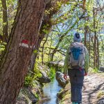 Latschanderwaal, Waal, Waalweg, wandern