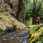 Schnaler Waal, Waal, Waalweg, wandern