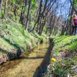 Schnaler Waal, Waal, Waalweg, wandern