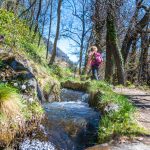 Schnaler Waal, Waal, Waalweg, wandern, Wasser