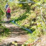 Stabener Waal, Waalweg, Waalweg Staben