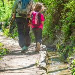 Stabener Waal, Waalweg, Waalweg Staben, wandern