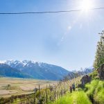 Apfelbltüte, Latschanderwaal, Sonne, Vinschgau, Waalweg