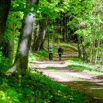 Traminer Höhenweg, wandern