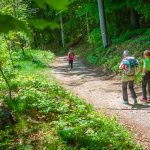 Traminer Höhenweg, wandern