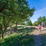 Castelfeder, Eichen, wandern