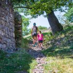 byzantinische Ringmauer, Castelfeder, Eiche, Ringmauer