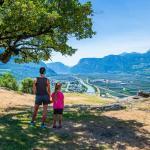 Ausblick, Castelfeder, Eiche, Etsch, Salurner Klause, Südtiroler Unterland