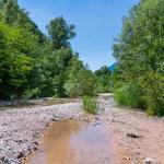 Forchwald, Natur, Schwarzenbach, Wasser