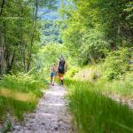 Fußweg, Natur, spazieren, Weg