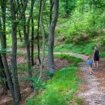 Buchenwald, Hirschbett, Penon, spazieren, Terzertal, Wald