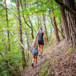 Steig, Waldsteig, wandern