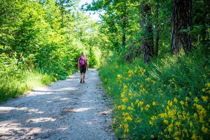 Gemütlich auf dem Schreckbichlboden Weg