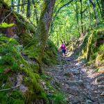 Montiggler Wald, wandern