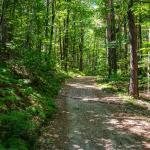 Montiggler Wald, Wegweiser