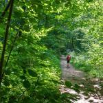 Montiggler Wald, Natur, Pfad, wandern