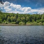 Langmoos, Montiggler Wald, Natur