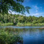 Langmoos, Montiggler Wald, Natur