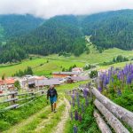 Schlinger Alm, Schlinigtal, wandern