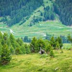 Langlaufen, Rollerbahn, Schlinigtal