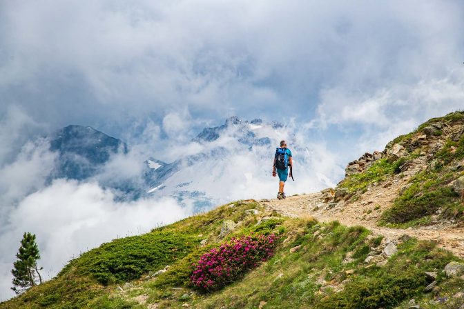 Alpenrosen, Schlinigtal, wandern