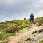 Alpenrosen, Schlinigtal, wandern