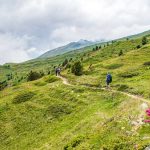 Alpenrosen, Schlinigtal, wandern