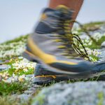 Alpenblumen, Bergschuhe, wandern