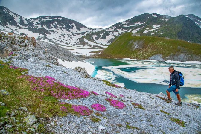 Alpenblumen am türkisfarbenen Sesvenna See