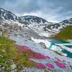 Alpenblumen, Sesvenna See