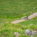 Mountainbike, Rad fahren, Schlinigtal