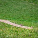 Mountainbike, Rad fahren, Schlinigtal