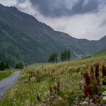 Abend, Schliniger Alm, Schlinigtal