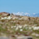 Matscher Tal, Piz Bernina