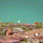 Bergsee, Matscher Tal, Saldurseen