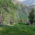 Bank, Matscher Tal, Vinschger Höhenweg, wandern