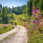 Vinschgau, wandern