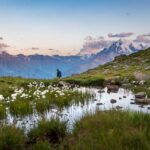 Hochmoor, Ortler, Sonnenuntergang, wandern, Wollgras