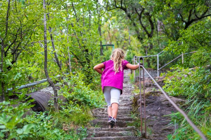 Auer, Baum, Holz, Katzenleiter, Natur, Pflanze, Treppen, Wald, wandern