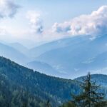 Baum, Berg, Himmel, Holz, Natur, Nebel, Pflanze, Pustertal, Wolken