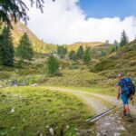 Baum, Hochland, Holz, Natur, Pflanze, Wald, wandern