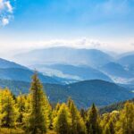 Baum, Berg, Himmel, Holz, Kiens, Natur, Pfalzen, Pflanze, Pustertal, Wald, Wolken