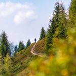 Baum, Himmel, Holz, Natur, Pfad, Pflanze, Steig, Wanderweg, Wolken, path, sentiero, wandern