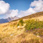 Himmel, Hochland, Natur, Pflanze, Terner Jöchl, Wolken