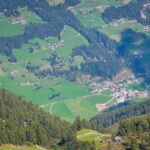 Hochland, Mühlwald, Natur