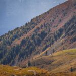 Berg, Hochland, Natur, Pfunderer Berge, Pichlerbergalm