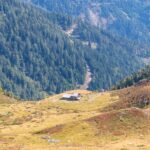 Alm, Berg, Elzenbaumer Oberalpe, Hochland, Matte, Natur, Weide