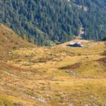 Elzenbaumer Oberalpe, Hochland, Natur