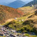 Alm, Fluss, Gewässer, Grünbacher Alpe, Hochland, Matte, Natur, Oberhütte, Wasser, Weide